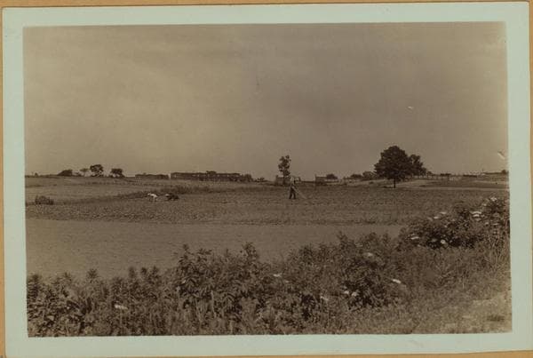Farming - Queens., 1935