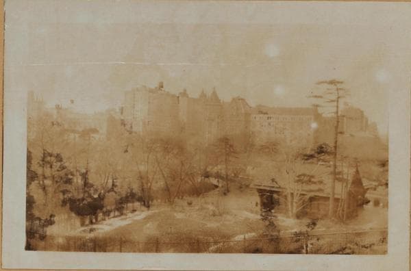 Manhattan: Central Park - Gardens -The Shakespeare Garden., 1929