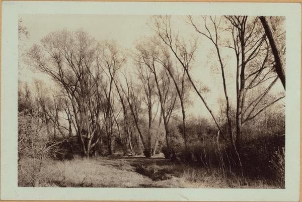 Richmond: Arthur Kill Road - Rossville Avenue, 1932–1937