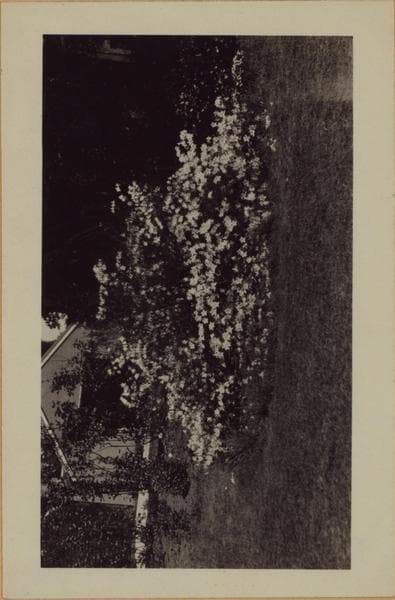 Richmond: Clinton Avenue - Henderson Avenue, 1926