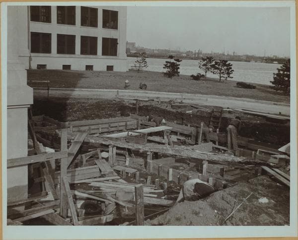 Islands - North Brothers Island., 1937