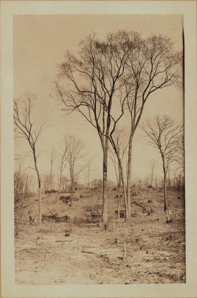 Queens: Home Lawn Street - Charlecote Ridge, 1927