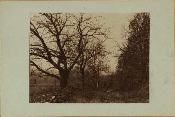 Richmond: Richmond Hill Road - Mill Road, 1913