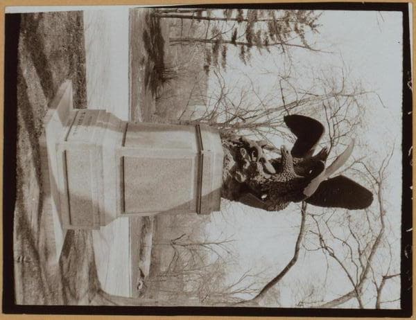 Manhattan: Central Park - The Mall., 1905