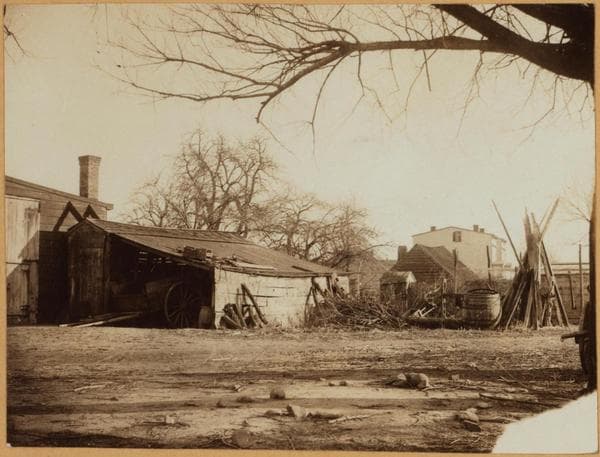 Brooklyn: Warwick St. - Dumont Ave., 1895