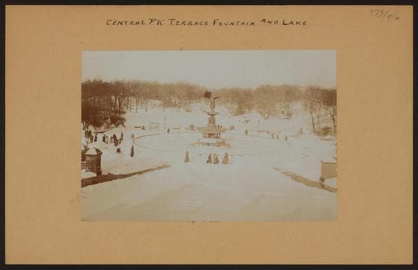Manhattan: Central Park - Terrace Fountain and the Lake., 1900
