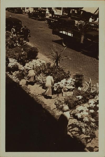 Occupations - Peddlers - Flowers., 1935