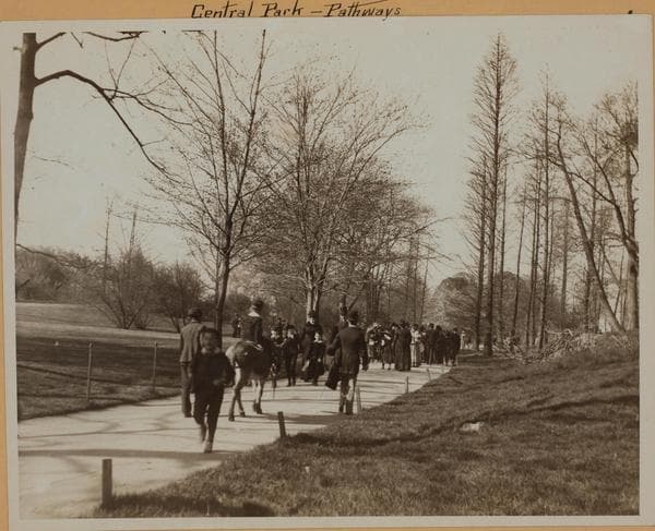 Manhattan: Central Park - Pathways - [The donkey-walk.], 1892