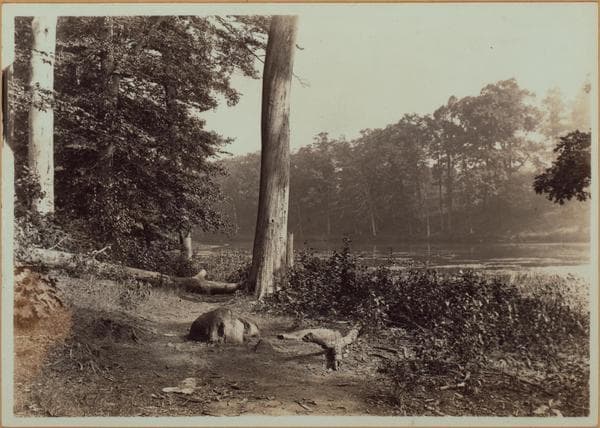 Richmond:] Staten Island - Clove Lakes Park - Clove Lake., 1910