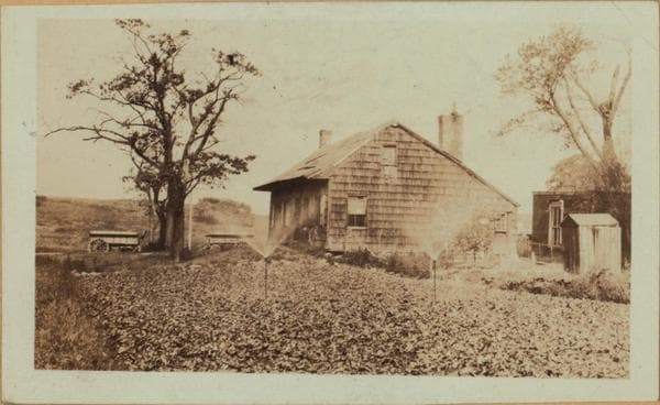Queens: Yellowstone Boulevard - Dartmouth Street & Clyde Street, 1922–1923