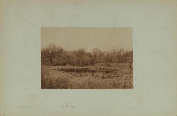 Seguine's Pond - Staten Island [Richmond - Amboy Road - Annadale Road.], 1925