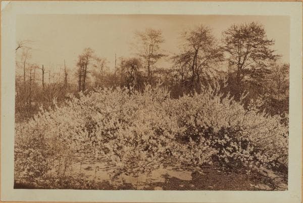 Richmond: Arthur Kill Road - Clay Pit Road, 1929–1930