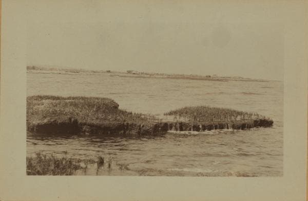 Staten Island - Oakwood Beach - [Salt meadows.], 1925