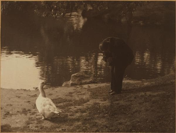 Manhattan: Central Park - Miscellaneous [Boat lake also known as the Pond]., 1936