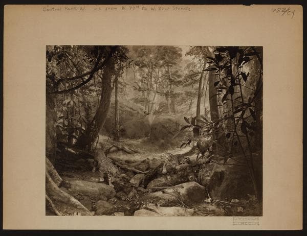 Manhattan: Central Park West - 77th Street (West), 1930