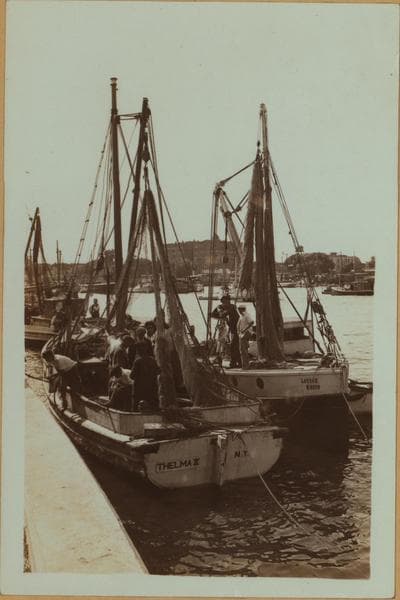 Brooklyn: Shore Boulevard - Exeter Street, 1933