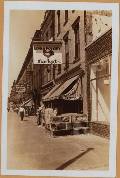 Brooklyn: Columbia Street - Degraw Street, 1935