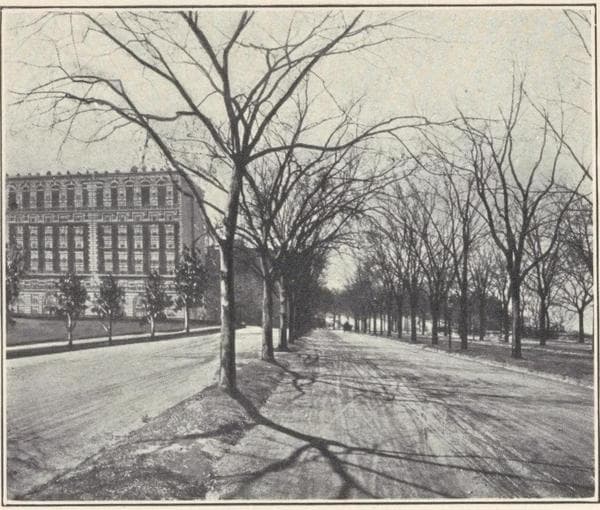 The Fiora-Ville and Paterno, 616 and 620 West 116th Street, near Riverside Drive ; Plan of first floor ; Plan of upper floors., 1908