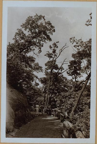 Manhattan: Inwood Hill Park., 1935