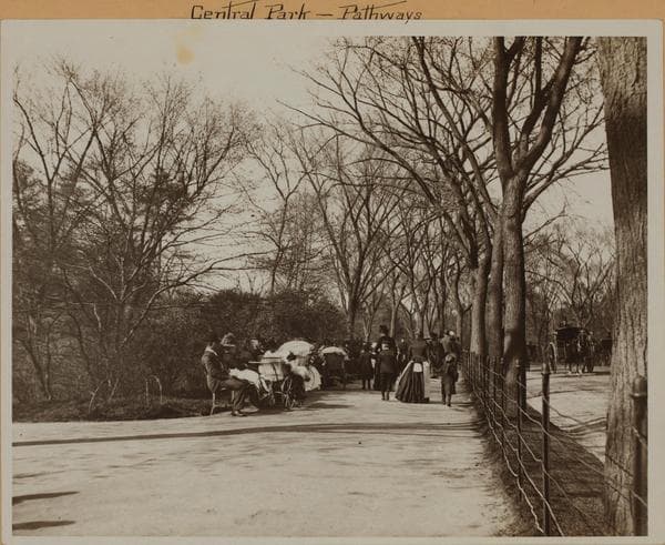 Manhattan: Central Park - Pathways and East Drive., 1892