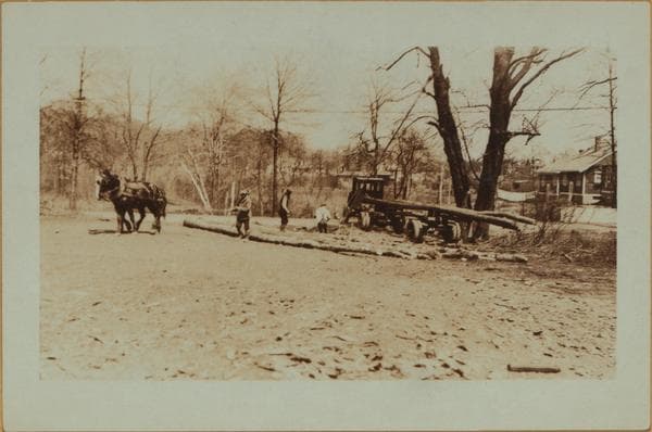 Lumbering on Staten Island., 1924