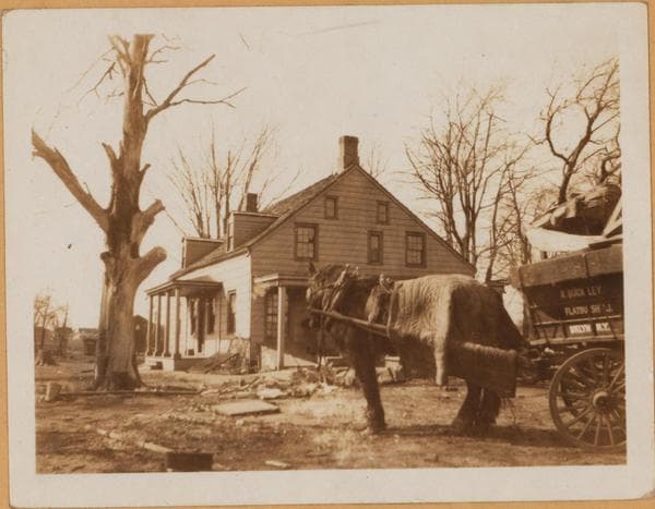 Brooklyn: Kings Highway - Ditmas Avenue, 1925–1926