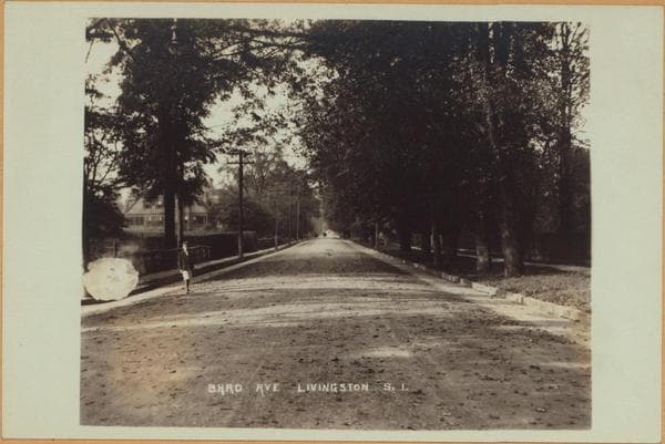 Richmond: Bard Avenue - Harvest Avenue
