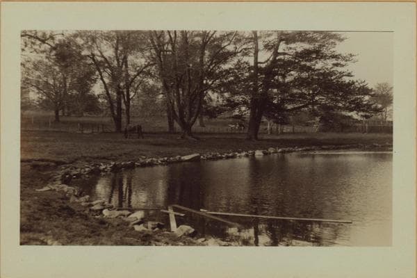 Richmond: Howard Avenue - Eddy Street, 1926