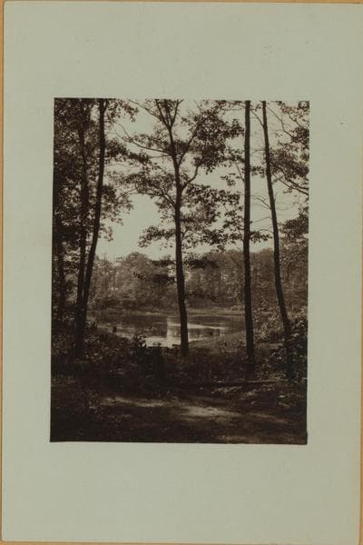Flagg's pond - Staten Island - [Ernest Flagg property.], 1926