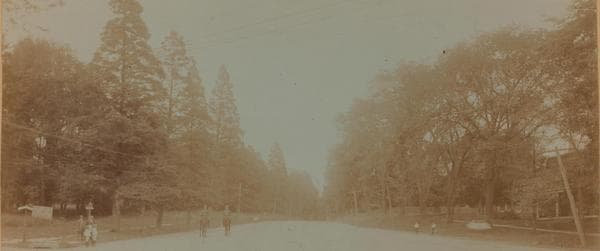 Queens: Northern Boulevard - 190th Street (West), 1906