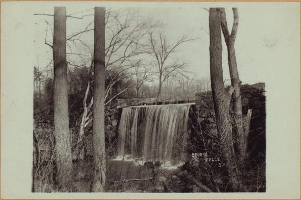 Richmond: Staten Island - Clove Lakes Park - Brook's Falls., 1905
