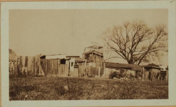 Recreation and hobbies - Bird raising., 1922–1935