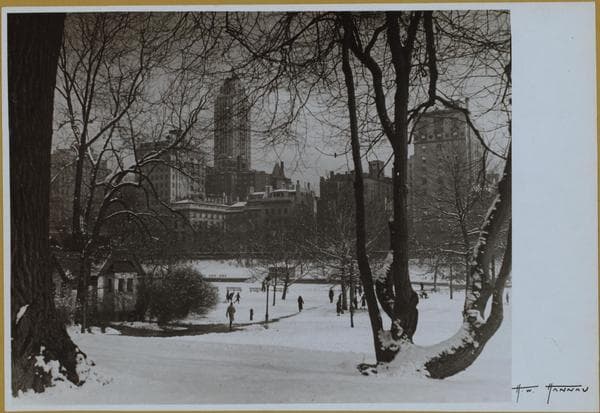 Manhattan: Central Park.