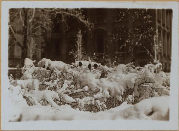 Manhattan: City Hall Park - [Municipal "garden".], 1928
