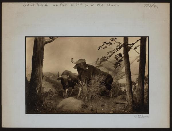 Manhattan: Central Park West - 77th Street (West), 1930