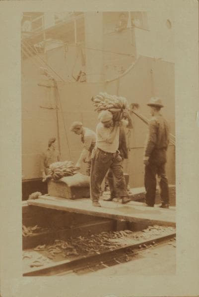 Workmen and laborers - [Unloading bananas on the East River Pier No. 16 - United Fruit Company - S.S. Yoro.], 1925–1926