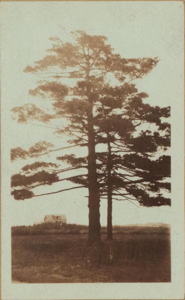 Queens: Lincoln Street - Van Wyck Boulevard, 1922