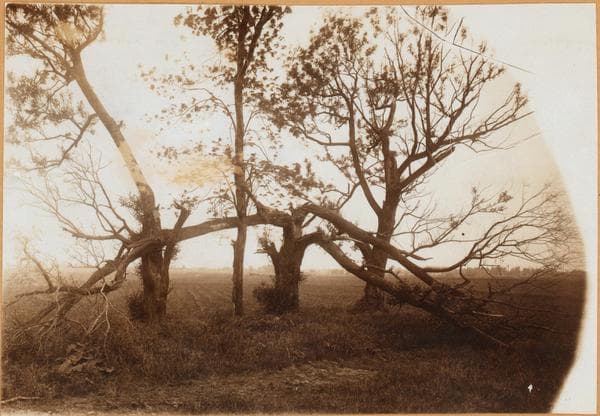 Brooklyn: 35th Street (East) - Avenue R, 1904–1922