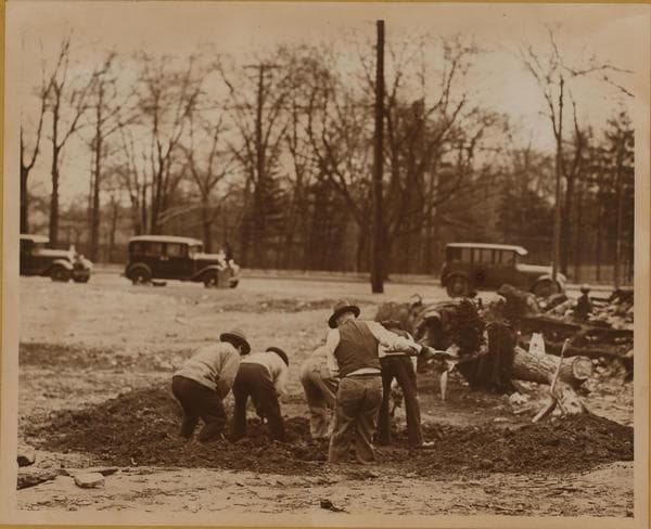 Bronx: Southern Boulevard - 185th Street, 1931