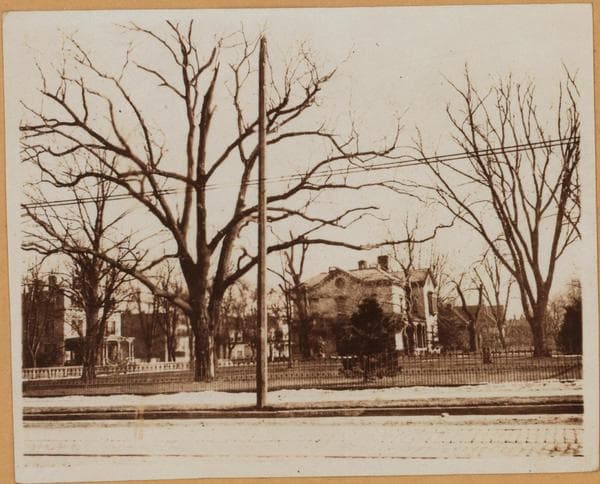Brooklyn: Fenimore Street - Flatbush Avenue, 1910