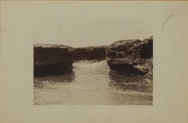 Staten Island - Oakwood Beach - [Salt meadows.], 1926
