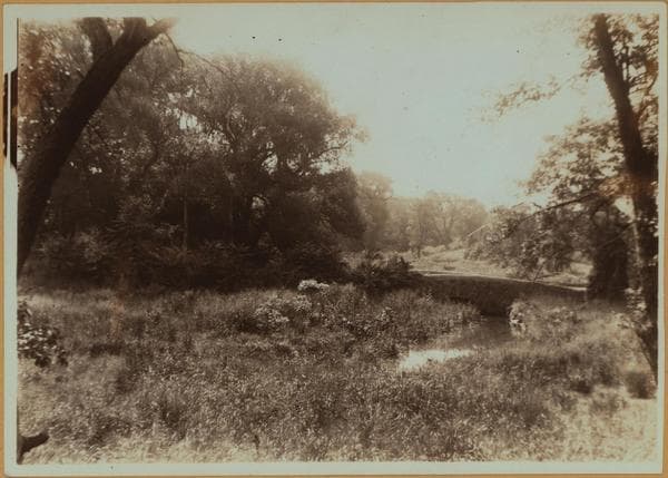 Green Ridge Brook - Benham Bridge - Staten Island [Richmond.], 1910