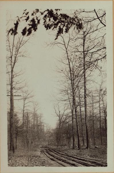 Queens: Henley Road - Chevy Chase Street, 1932