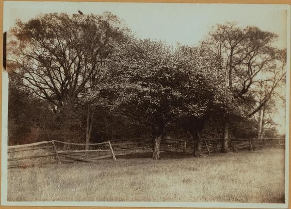 Richmond: Richmond Hill Road - Mill Road, 1910