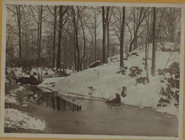 Snowstorms - Near Central Park., 1909