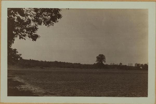 Farming - Queens., 1927