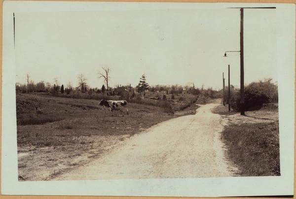 Richmond: Barry Street - Rossville Avenue, 1937