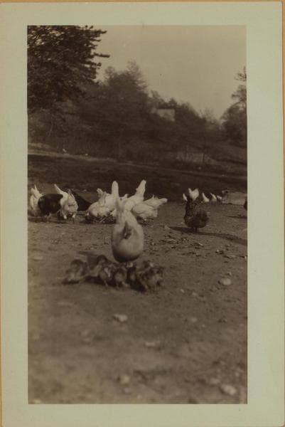 Farming on Staten Island, 1926