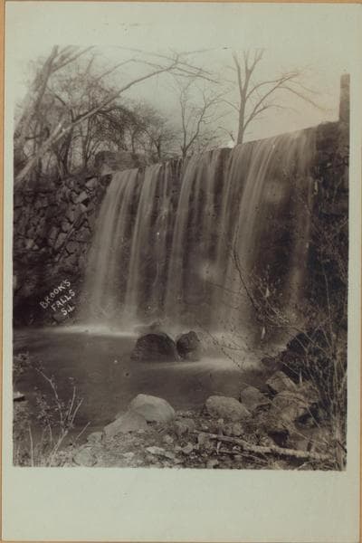 Richmond: Staten Island - Clove Lakes Park - Brook's Falls., 1905