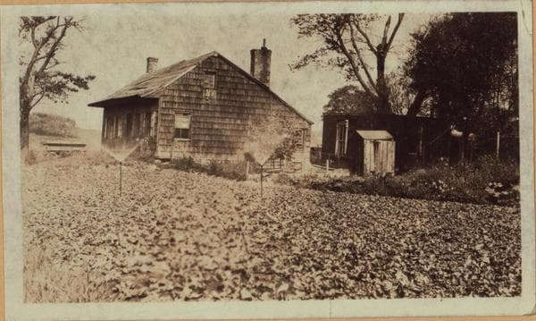 Queens: Yellowstone Boulevard - Dartmouth Street & Clyde Street, 1922–1923